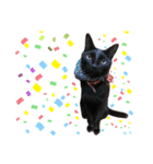 黒ねこ《リオ♡キロ》（個別スタンプ：17）