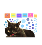 黒ねこ《リオ♡キロ》（個別スタンプ：18）