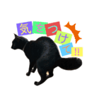 黒ねこ《リオ♡キロ》（個別スタンプ：19）