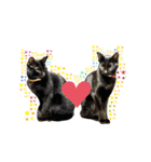黒ねこ《リオ♡キロ》（個別スタンプ：24）