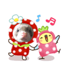 SASAKI  PET'S（個別スタンプ：1）