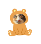 SASAKI  PET'S（個別スタンプ：4）