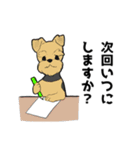 トリミングショップあるある（個別スタンプ：2）