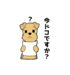 トリミングショップあるある（個別スタンプ：8）