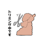 トリミングショップあるある（個別スタンプ：12）
