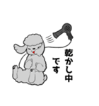 トリミングショップあるある（個別スタンプ：15）