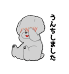 トリミングショップあるある（個別スタンプ：20）