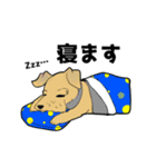 トリミングショップあるある（個別スタンプ：30）