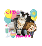 にゃんこまったり中（個別スタンプ：3）