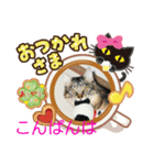 にゃんこまったり中（個別スタンプ：7）