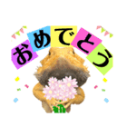 まいにちトカちゃん（個別スタンプ：1）