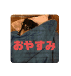 心と言います。その2（個別スタンプ：2）