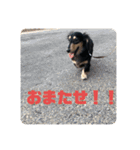 心と言います。その2（個別スタンプ：3）