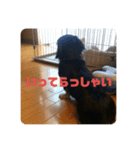 心と言います。その2（個別スタンプ：6）
