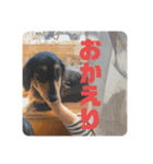 心と言います。その2（個別スタンプ：8）