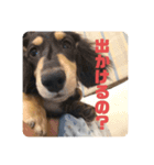 心と言います。その2（個別スタンプ：9）