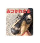 心と言います。その2（個別スタンプ：10）