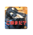 心と言います。その2（個別スタンプ：11）