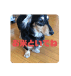 心と言います。その2（個別スタンプ：12）