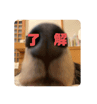 心と言います。その2（個別スタンプ：13）