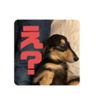 心と言います。その2（個別スタンプ：15）