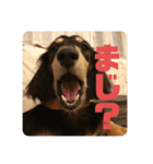 心と言います。その2（個別スタンプ：16）