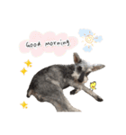 毎日モモーちゃん♥（個別スタンプ：5）