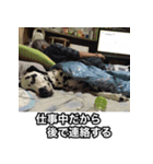 翔ちゃんなおちゃんの毎日スタンプ（個別スタンプ：9）