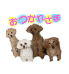 ラトレイジュ（個別スタンプ：5）