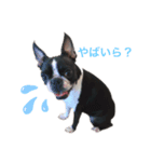 甲州弁のシェリちゃん（個別スタンプ：1）