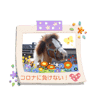 小柄なオジサンポニー「ナナ」のつぶやき②（個別スタンプ：15）