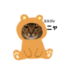 愛猫くうちゃん（個別スタンプ：7）