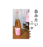 愛猫くうちゃん（個別スタンプ：13）