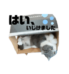 ひじきともやしの毎日②（個別スタンプ：2）