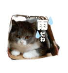 ひじきともやしの毎日②（個別スタンプ：16）