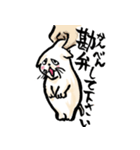 関西弁のネコさん（個別スタンプ：1）