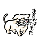 関西弁のネコさん（個別スタンプ：11）