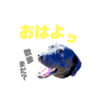 ぶらつきくん ①（個別スタンプ：2）