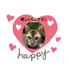 洸直のアルにゃん（個別スタンプ：9）