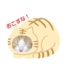 汎用性ばつぐん！とわちゃんとふうまん（個別スタンプ：2）