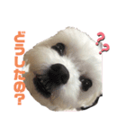 ちびちゃんの1日（個別スタンプ：1）