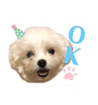 ちびちゃんの1日（個別スタンプ：3）