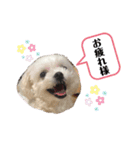 ちびちゃんの1日（個別スタンプ：10）