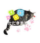 森家のぐるちゃん（個別スタンプ：16）