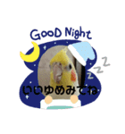 セジャの一日（個別スタンプ：1）