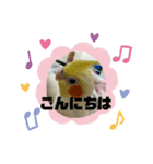 セジャの一日（個別スタンプ：3）