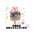 みことわんこ⑧（個別スタンプ：4）