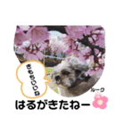 みことわんこ⑧（個別スタンプ：8）