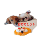 ピンクのルナちゃん（個別スタンプ：6）