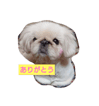 ピンクのルナちゃん（個別スタンプ：7）